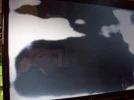 100_1533.webp