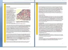 Presentatie1.webp