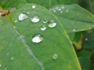 260720101315.webp
