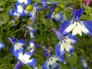 300720101402.webp