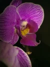 19062010934.webp