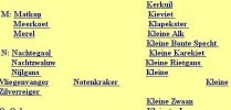 website 2.webp