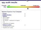 spy audit.webp
