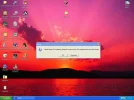 clip_5.webp