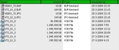 printscreen_dvd_bestanden.webp