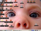 bureaublad.webp