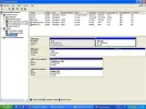 fou.webp