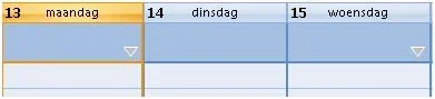 Outlook 2007 afspraak niet zichtbaar.webp
