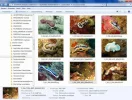 Image4.webp