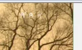 Aaa.webp