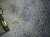 24092010083.jpg