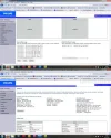 router DHCP.webp