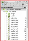 site.webp