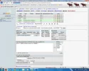 voetballers3.webp