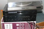 IMG_7340a.webp