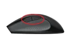 muis1.webp muis1.webp