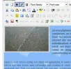 border2.webp