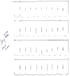 scannen0001.webp