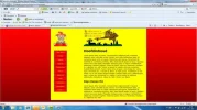 internet explorer incorrect.webp
