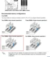 4 dimms.webp