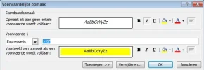 voorwaardelijke opmaak.webp