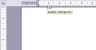 Spaties weergeven.webp