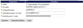 DDNS.webp