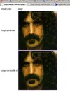 fz.webp