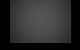 bg.webp