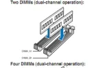 dual channel.webp