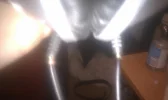 IMAG0129.webp