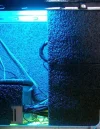 isolatie.webp
