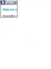 venster.webp