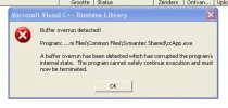 norton fout.webp