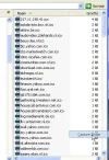icons.webp