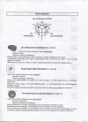 witte achtergrond.webp witte achtergrond.webp