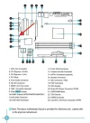 MB.webp