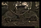 Car1.webp