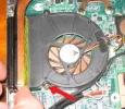 fan.webp