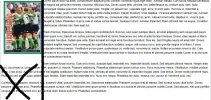 test2.webp