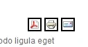css1.webp