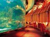 Aquarium in restaurant.jpg