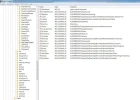 Shel 1.webp