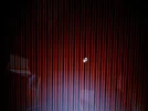 IMG_20111104_155721.webp