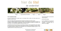 site 2.webp site 2.webp