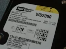 WD2000.webp