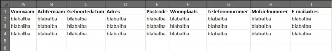 Voorbeeld_excel.webp Voorbeeld_excel.webp