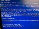 1.webp