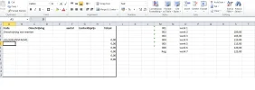 probleem excel.webp probleem excel.webp