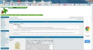 rf1.webp